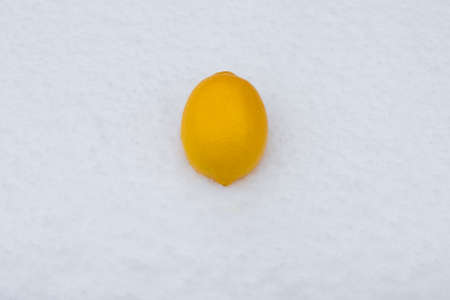 Citrus lemon lies on white winter snowの写真素材