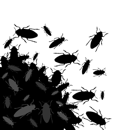 bunch of black bugs in a messの写真素材