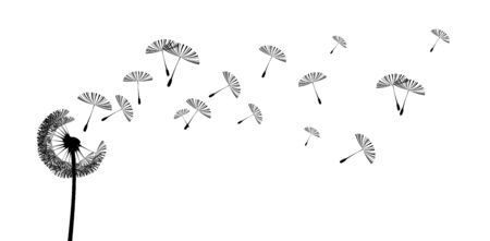 decorative background with flying seeds of a dandelionのイラスト素材