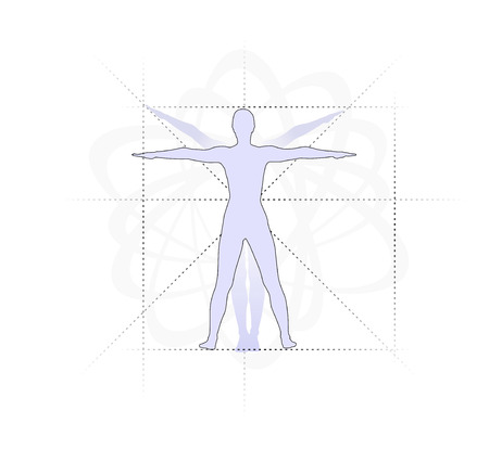 study of the human body with proportionsの写真素材