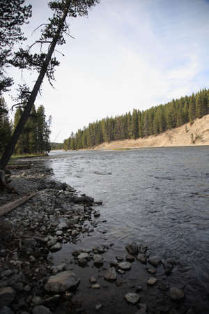 Yellowstone River - Rocky Shorelineの写真素材