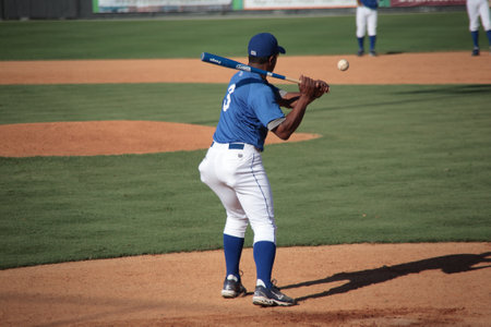 Burlington, North Carolina - June 29, 2009: Minor league baseball coach hits infield practice for the Burlington Royals.のeditorial素材