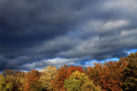 Trees and Storm Clouds Background - Heavy dark storm clouds over a forest with the colors of autumn.の写真素材