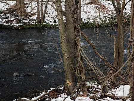 River in Winter - Flowing river in winter with snow on the banks.の写真素材