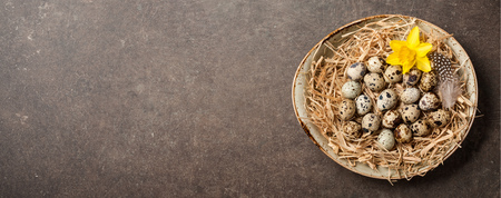 Easter background with quail eggs and spring flowerの写真素材