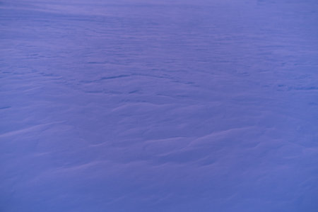 Texture of snow on a pink sunset in winterの写真素材