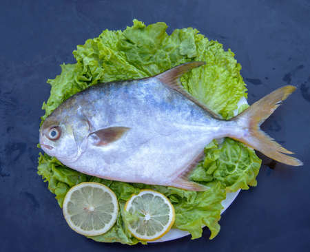 White Pomfret with lemonの写真素材