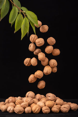 Falling walnuts on a black background with space for text.
