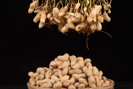 Peanuts in a wicker basket on a black background. Close-up.の写真素材