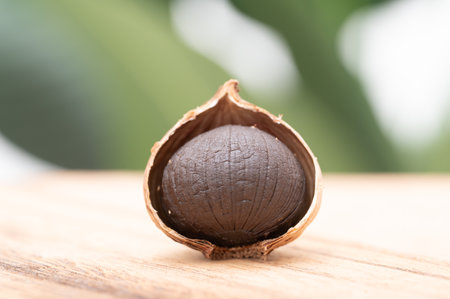 Macadamia nuts in shell on wooden table with blurred background.の写真素材