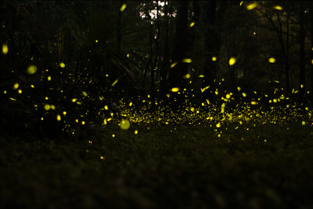 fireflies fly at grass of Nanjing, China.