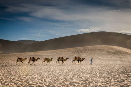 Desert tuoduiの写真素材