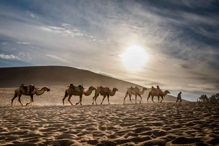 Twilight in the Desertの写真素材