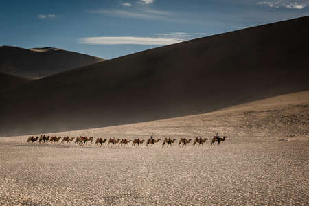 Desert tuoduiの写真素材
