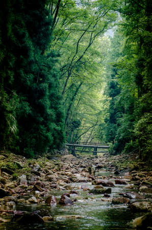Zhangjiajie sceneryの写真素材