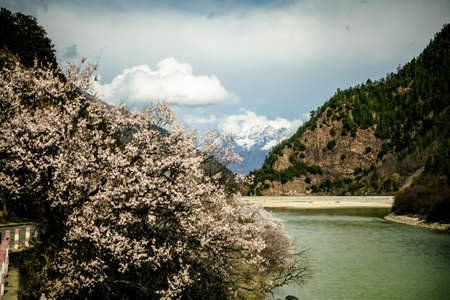 Tibet Plateauの写真素材