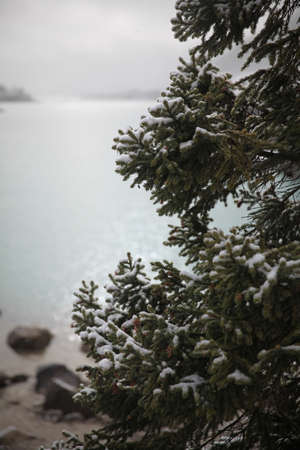 lake waterの写真素材