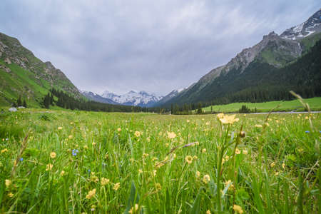 Xinjiang scenery landscape viewの写真素材