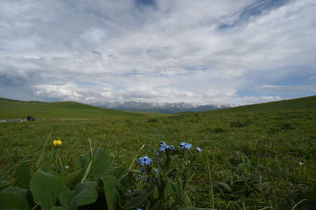Xinjiang scenery landscape viewの写真素材