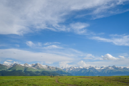 Xinjiang meadow scenery landscape viewの写真素材