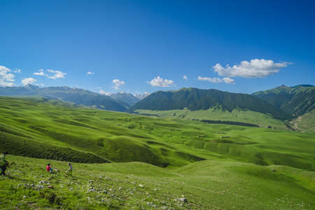 Xinjiang meadow scenery landscape viewの写真素材