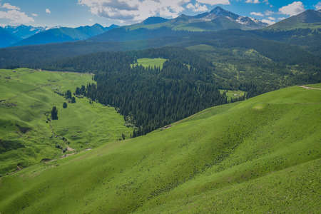 Xinjiang meadow scenery landscape viewの写真素材