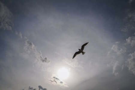 Xinjiang sceneryの写真素材
