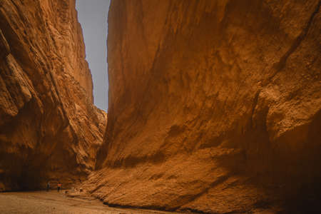 Xinjiang meadow scenery landscape viewの写真素材