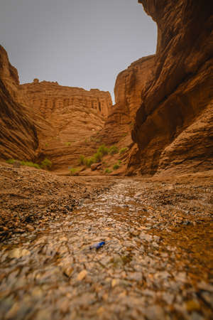 Xinjiang meadow scenery landscape viewの写真素材