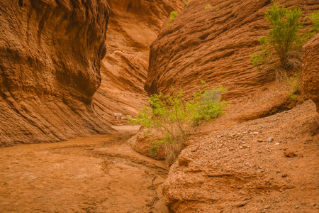 Xinjiang sceneryの写真素材