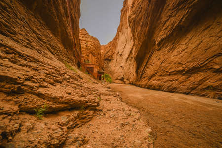 Xinjiang meadow scenery landscape viewの写真素材