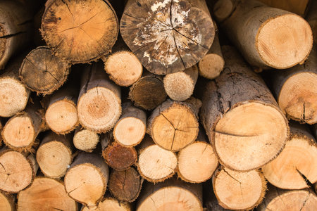 Stacked firewood, medium to small width light brown