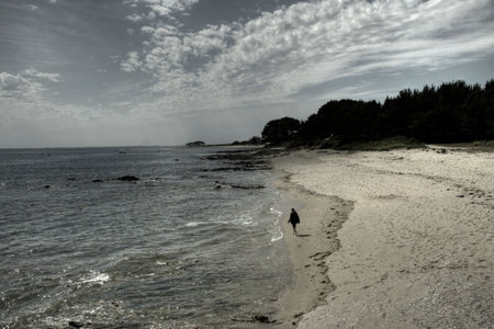 lonely woman walking on the deserted beachの写真素材