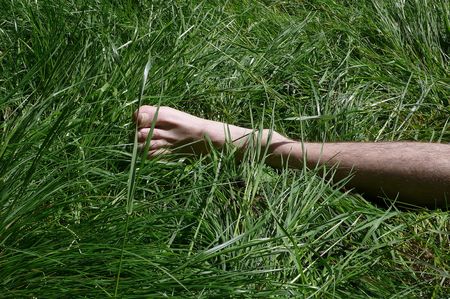 bare foot in the green grass detailの写真素材