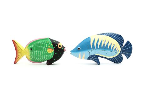 two coloured exotic fishes facing on isolated backgroundの写真素材