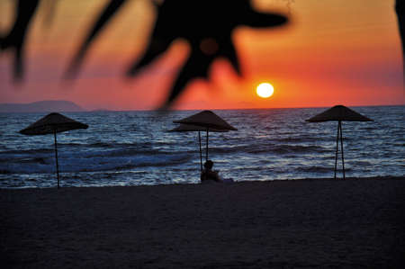 Moonlightの写真素材