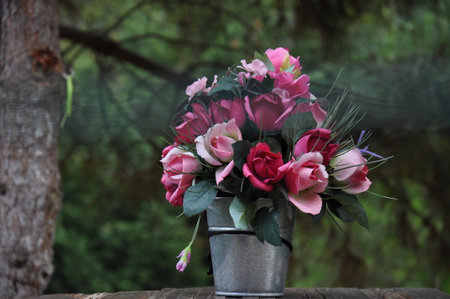 dried flowerの写真素材