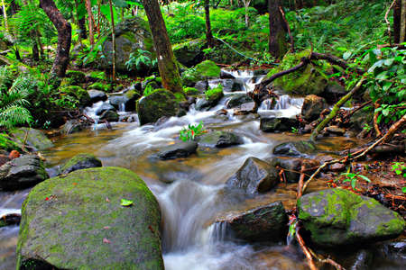 Waterfall の写真素材