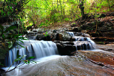 Deep forest Waterfallの写真素材