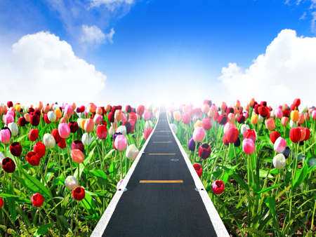 A road leading into the sky の写真素材
