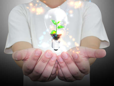 hand holding lightbulb : eco concept の写真素材