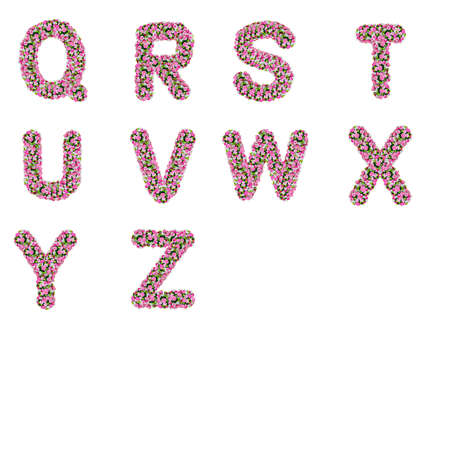 Q-Z, flower alphabet isolated on white の写真素材