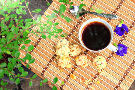 Espresso and cookies in garden の写真素材