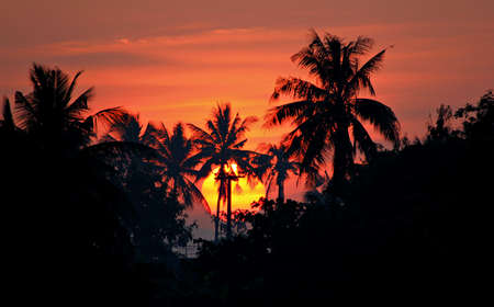 Sunriseの写真素材