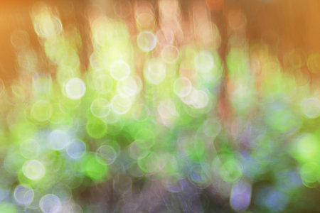 Blurred bokeh background. 