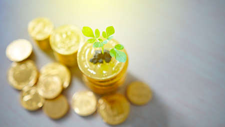 Business Growth concept.の写真素材