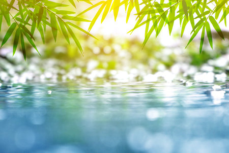 Natural background.freshness fill conceptの写真素材