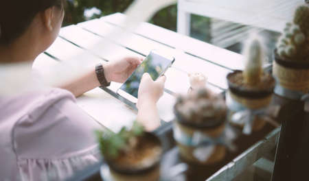 woman using smartphone.                                                        の写真素材