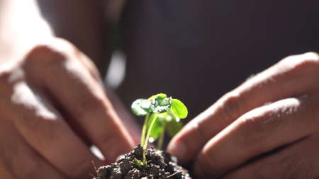 man planting a tree in the garden. Ecology conceptの写真素材