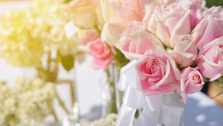 roses for background. pastel color style                                           の写真素材